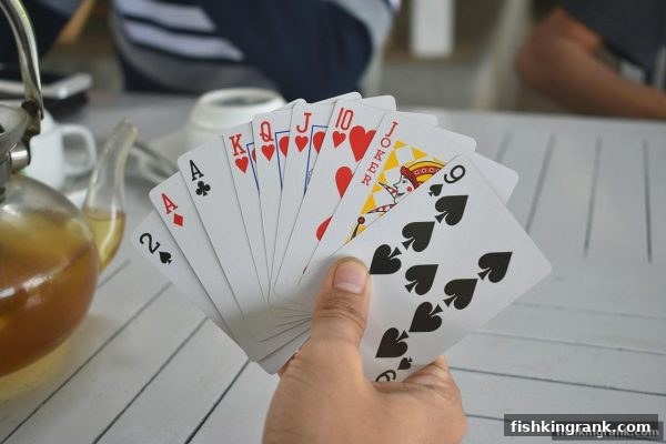 捕鱼王中王：深度拆解随机性与概率，让娱乐回归理性智慧