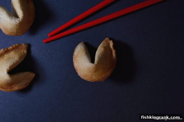 双色球选号策略全解析：捕鱼王中王带你玩转概率与娱乐