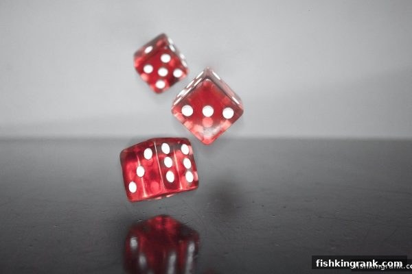 捕鱼王中王带你玩转幸运飞艇：规则解析与实战进阶