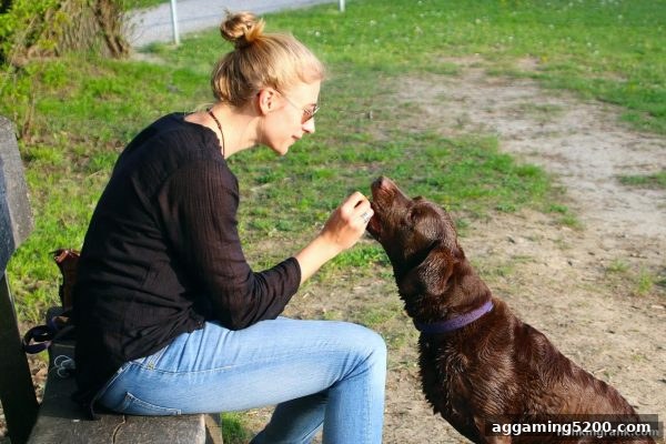 捕鱼王中王带你玩转游戏返水活动：规则、流程与收益提升全攻略