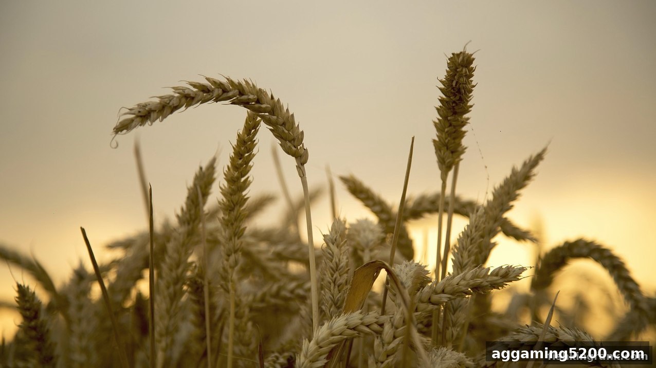 捕鱼王中王深度解读：洗码返佣与签到福利的终极玩法