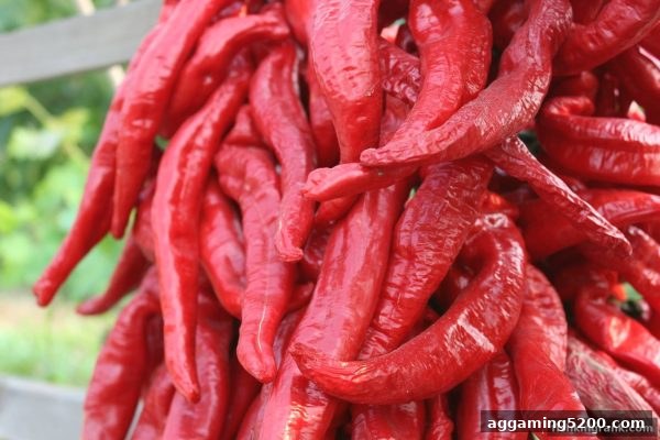 捕鱼王中王带你读懂DG真人存款奖励：规则解析与实战技巧