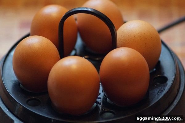 深度解析斗地主特殊符号：捕鱼王中王带你掌握牌局隐形利器